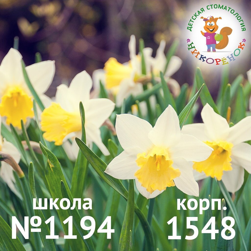 Её Величество зубная щетка и уроки гигиены!