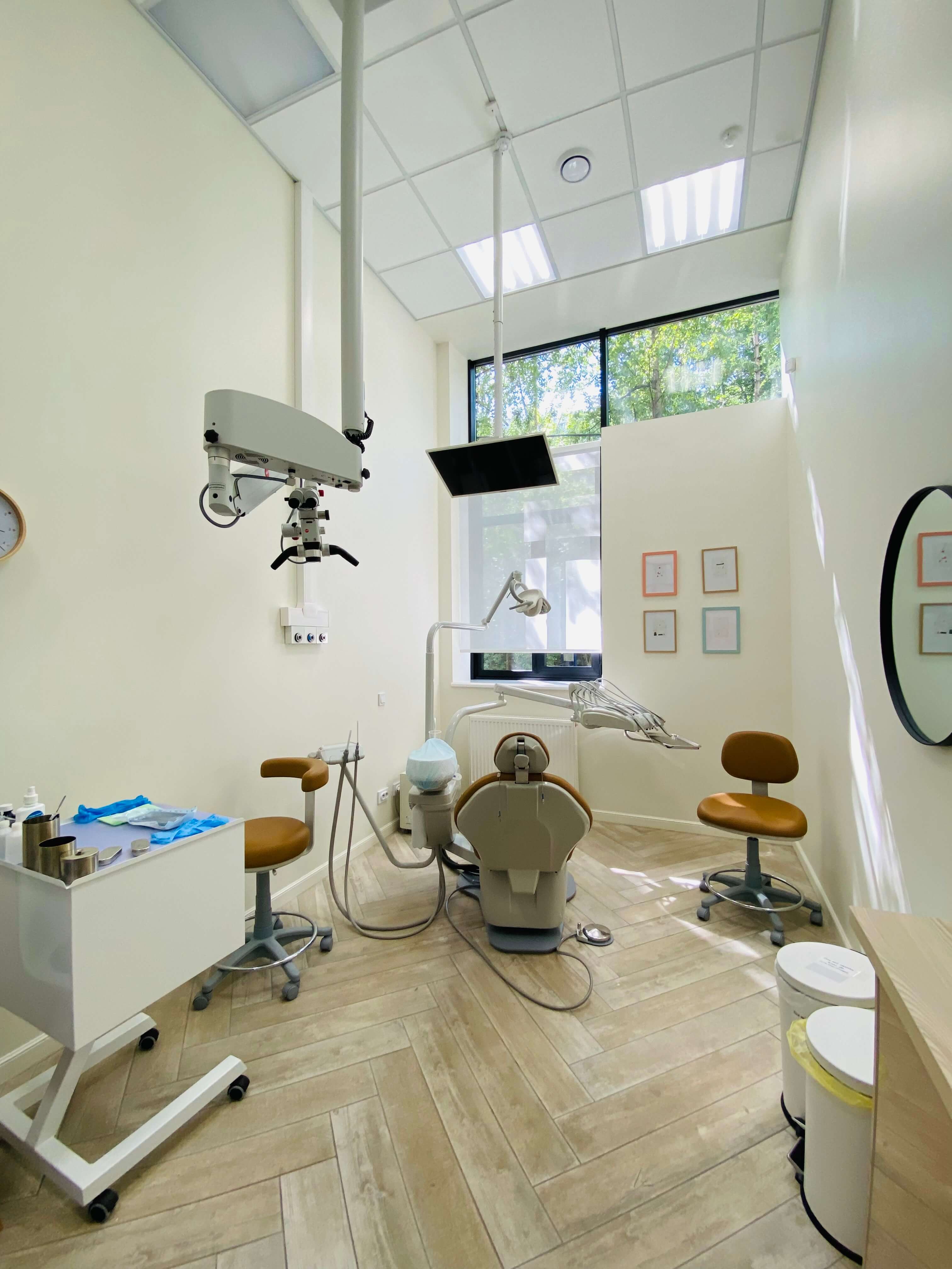 0D3A4F55-8857-4FD1-92F7-B2CA5B4E76D0