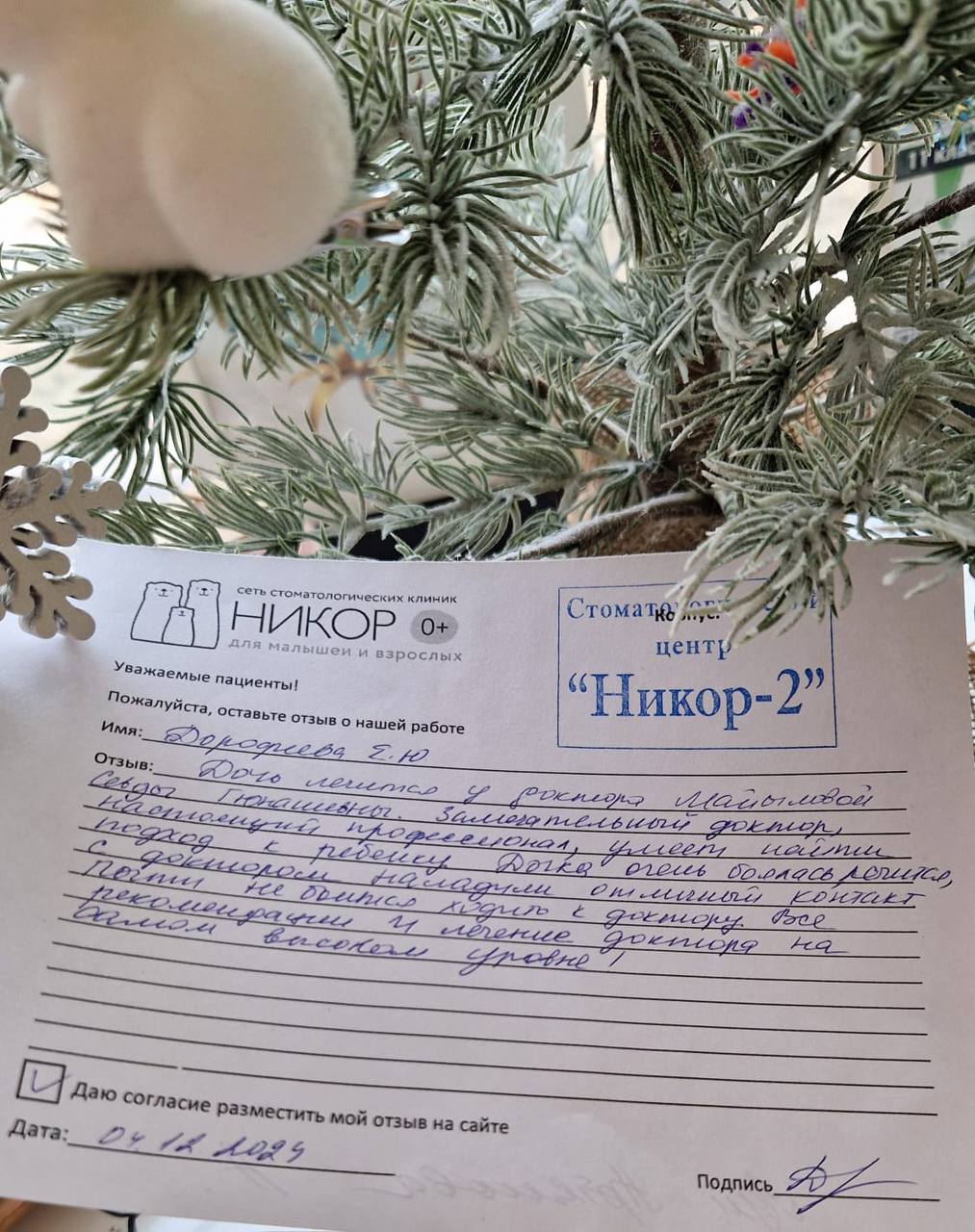 Дорофеева Е.Ю.